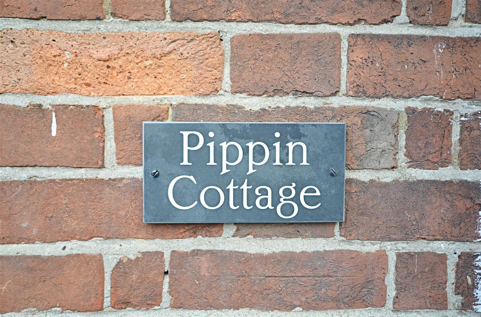 The Street, Appledore Rush, Witt & Wilson